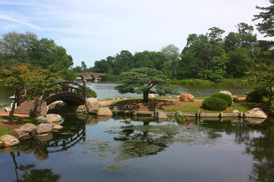 불사조 정원(더 피닉스 가든)